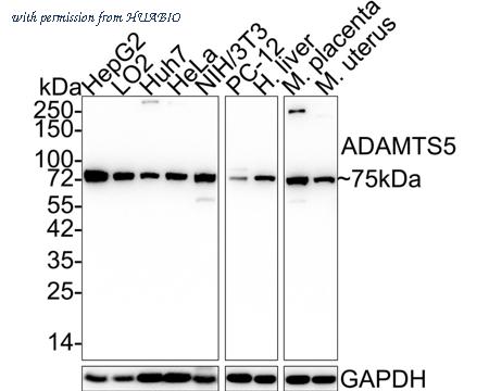HUABIO HA722011 image 1