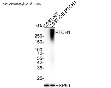HUABIO HA722012 image 1
