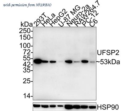 HUABIO HA722016 image 1