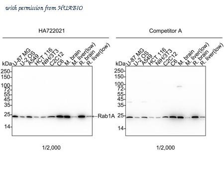 HUABIO HA722021 image 1