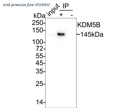 HUABIO HA722076 image 2