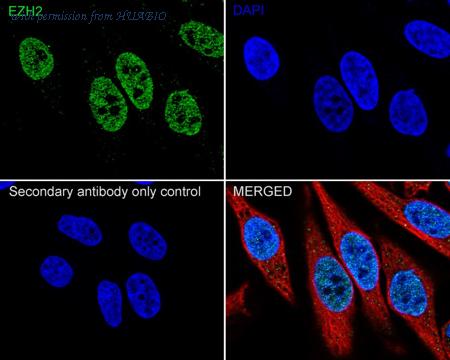 HUABIO HA722095 image 2