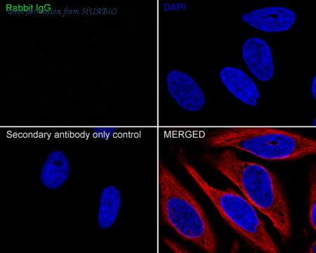 HUABIO HA722127 image 2