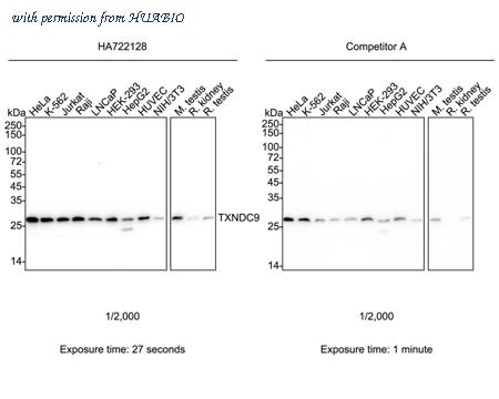 HUABIO HA722128 image 1