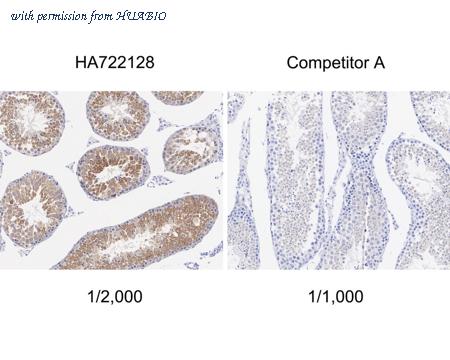 HUABIO HA722128 image 3