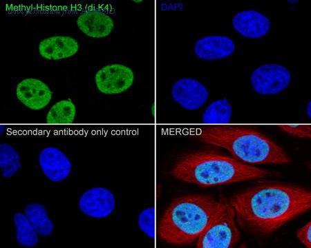 HUABIO HA722135 image 2