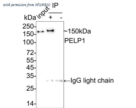 HUABIO HA722138 image 2