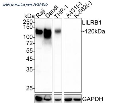 HUABIO HA722158 image 1
