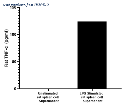 HUABIO HA722170 image 2