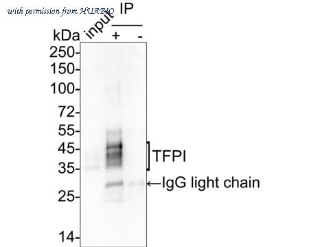 HUABIO HA722199 image 2