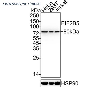 HUABIO HA722206 image 1