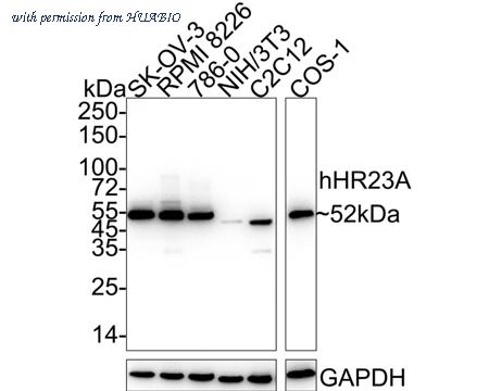 HUABIO HA722215 image 1