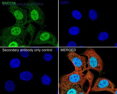 HUABIO HA722215 image 2