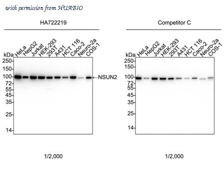 HUABIO HA722219 image 1