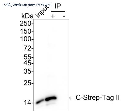 HUABIO HA722229 image 3