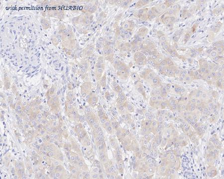 HUABIO HA722248 image 3