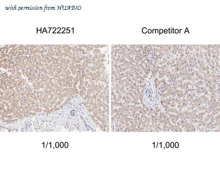 HUABIO HA722251 image 2