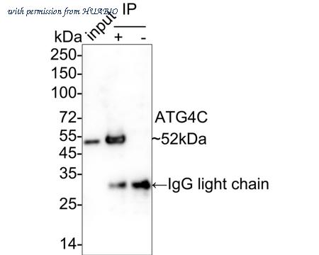HUABIO HA722252 image 2