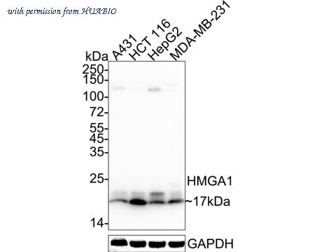 HUABIO HA722280 image 1