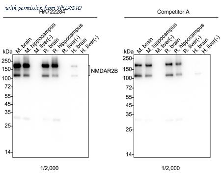 HUABIO HA722284 image 1