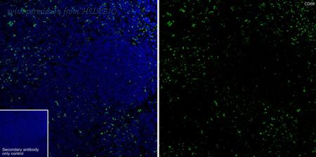 HUABIO HA722285 image 1