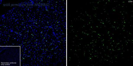 HUABIO HA722285 image 2