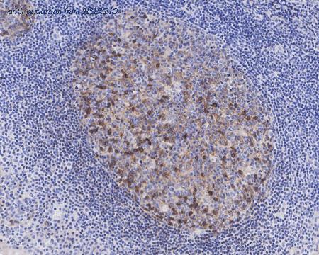 HUABIO HA722304 image 3