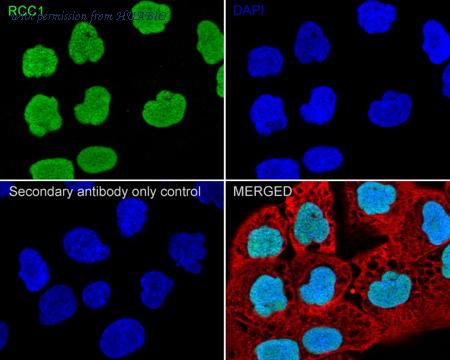 HUABIO HA722311 image 2