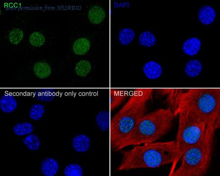 HUABIO HA722311 image 3