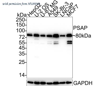 HUABIO HA722322 image 1