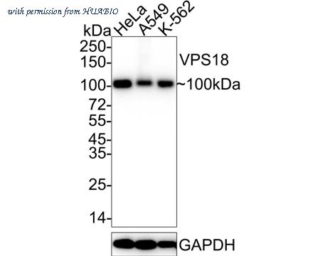 HUABIO HA722325 image 1