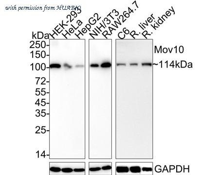 HUABIO HA722328 image 1