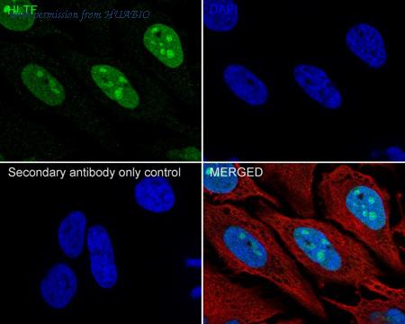 HUABIO HA722329 image 2