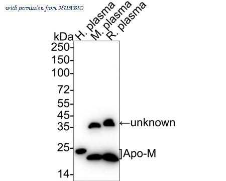 HUABIO HA722333 image 1