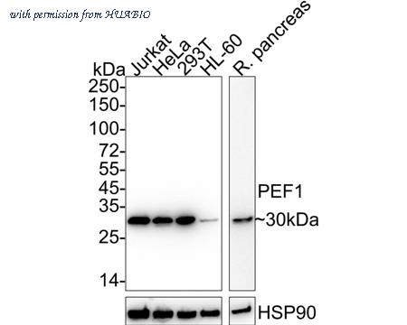 HUABIO HA722358 image 1