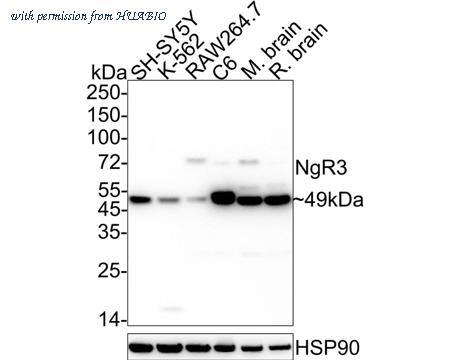 HUABIO HA722362 image 1