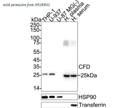 HUABIO HA722364 image 1