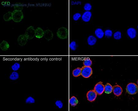 HUABIO HA722364 image 3