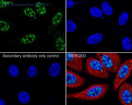 HUABIO HA722365 image 2