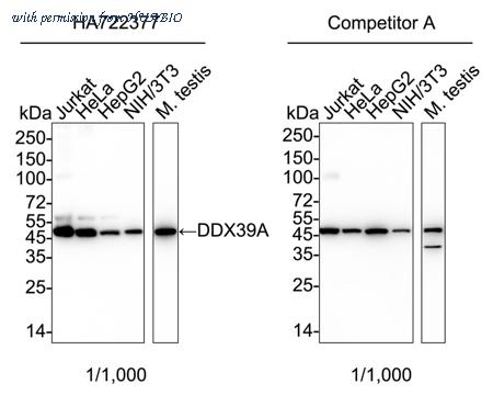 HUABIO HA722377 image 1