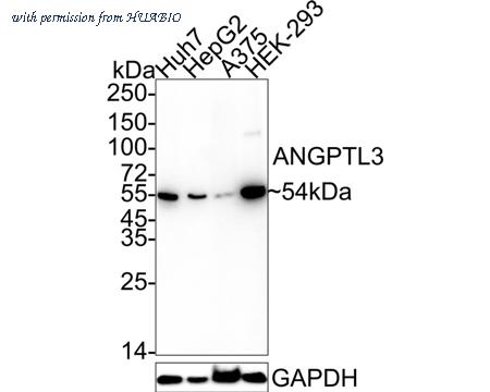HUABIO HA722388 image 1