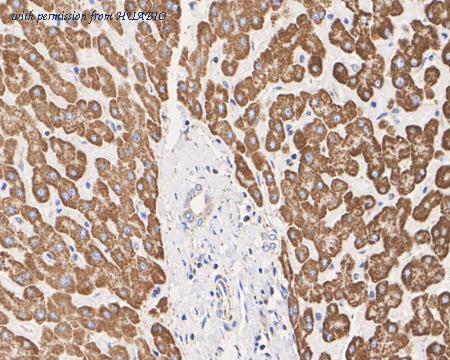 HUABIO HA722392 image 3