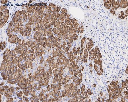 HUABIO HA722393 image 2