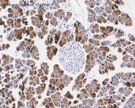 HUABIO HA722393 image 3