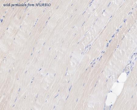 HUABIO HA722420 image 2