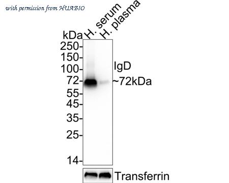 HUABIO HA722433 image 1