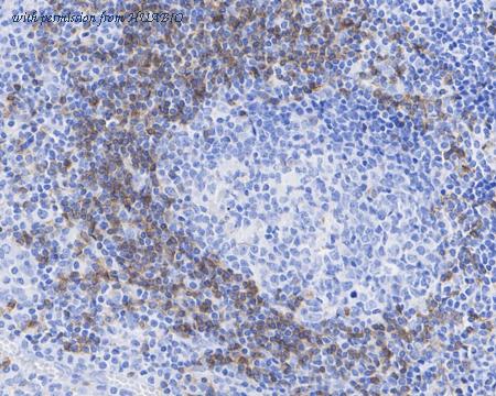 HUABIO HA722433 image 2