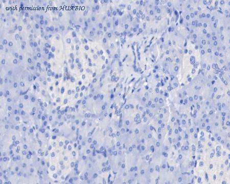 HUABIO HA722441 image 3