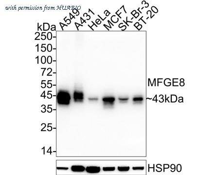 HUABIO HA722442 image 1