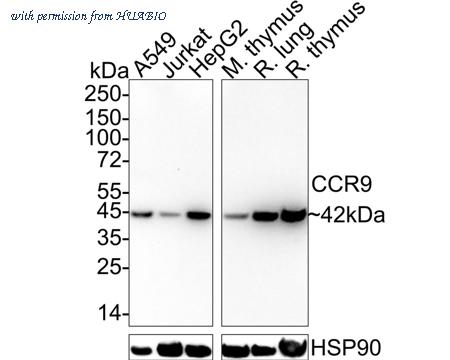 HUABIO HA722444 image 1